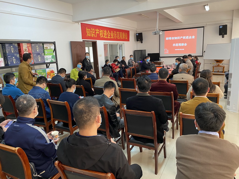蚌埠市市场监督管理局在奥特公司举办“知识产权进企业”示范观摩活动